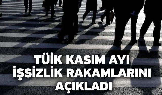 TÜİK kasım ayı işsizlik rakamlarını açıkladı