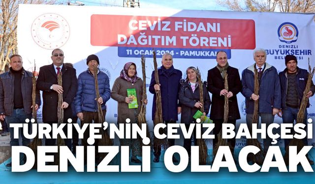 Türkiye’nin Ceviz Bahçesi Denizli Olacak