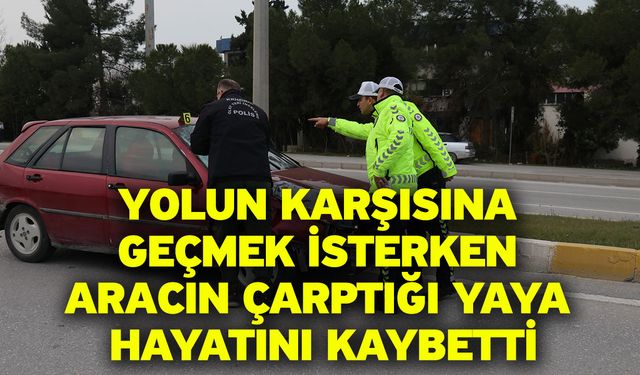 Yolun karşısına geçmek isterken aracın çarptığı yaya hayatını kaybetti