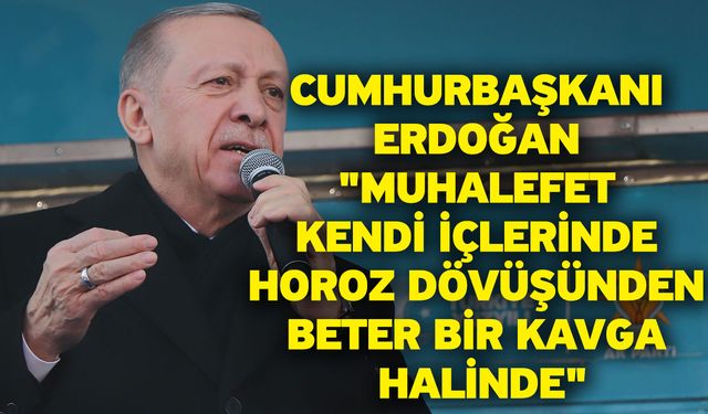 Cumhurbaşkanı Erdoğan "Muhalefet kendi içlerinde horoz dövüşünden beter bir kavga halinde"