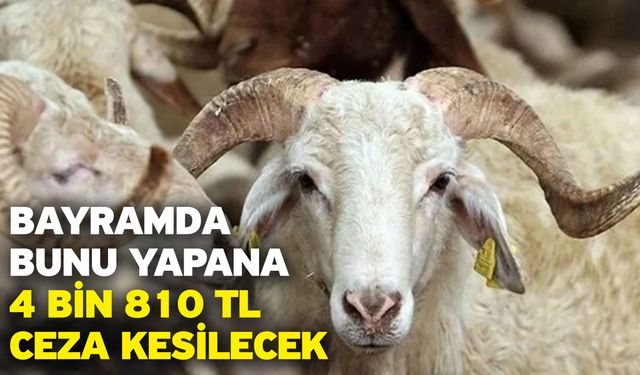 Bayramda bunu yapana 4 bin 810 TL ceza kesilecek