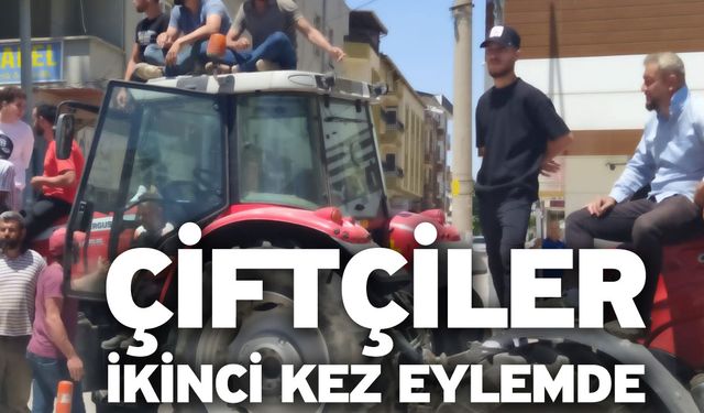 Çiftçiler ikinci kez eylemde