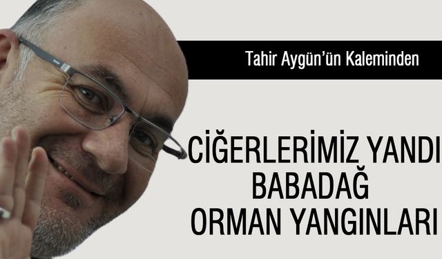 Ciğerlerimiz Yandı: Babadağ Orman Yangınları