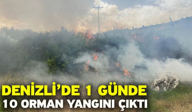 Denizli’de 1 günde 10 orman yangını çıktı