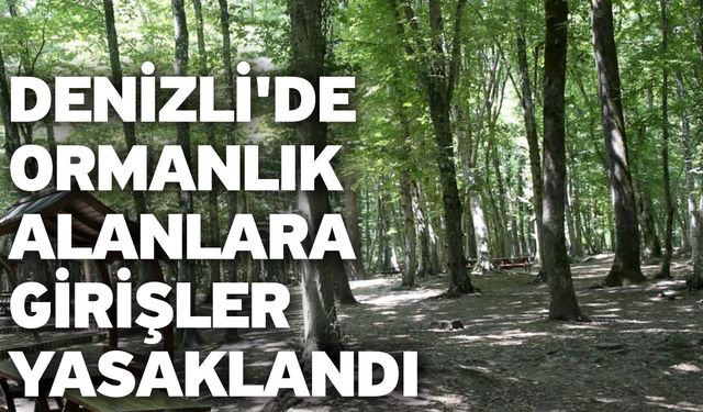 Denizli'de Ormanlık Alanlara Girişler Yasaklandı