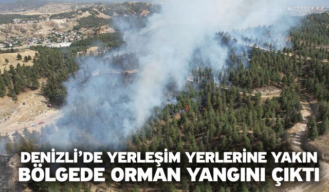 Denizli’de yerleşim yerlerine yakın bölgede orman yangını çıktı