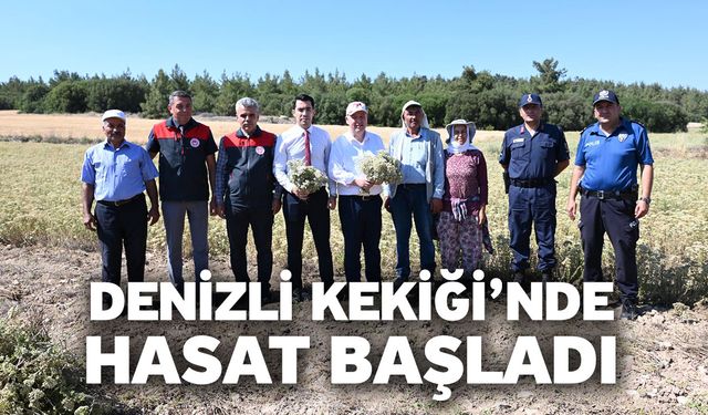 Denizli Kekiği’nde Hasat Başladı