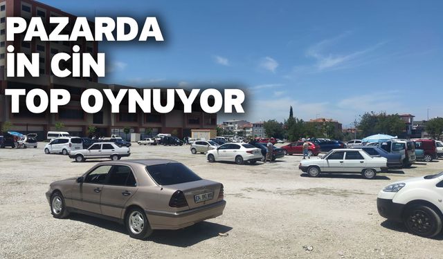 Pazarda İn Cin Top Oynuyor