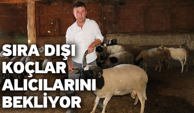 Sıra dışı koçlar alıcılarını bekliyor