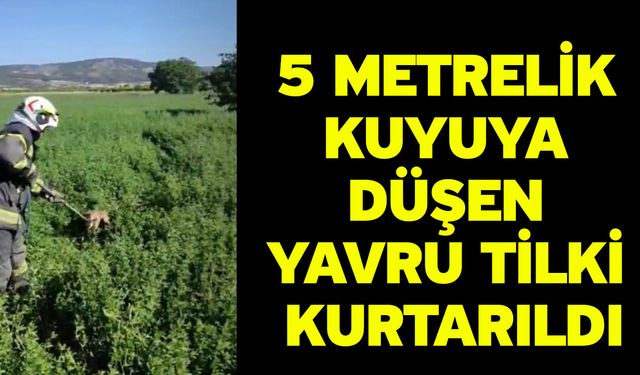 5 Metrelik Kuyuya Düşen Yavru Tilki Kurtarıldı