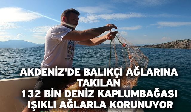 Akdeniz'de balıkçı ağlarına takılan 132 bin deniz kaplumbağası ışıklı ağlarla korunuyor