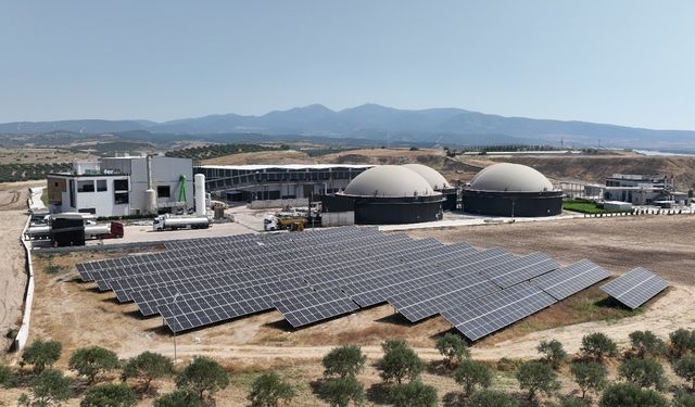 Yerli ve verimli gübre Ecofer, kuraklaşmayı azaltıp toprak ve ürün verimini artırıyor