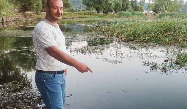 İzmir'in Gölcük Gölü'nde balık ölümleri