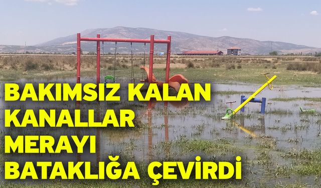 Bakımsız kalan kanallar merayı bataklığa çevirdi