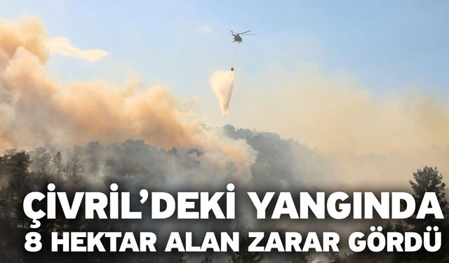 Çivril’deki yangında 8 hektar alan zarar gördü