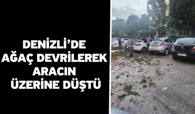 Denizli’de Ağaç Devrilerek Aracın Üzerine Düştü