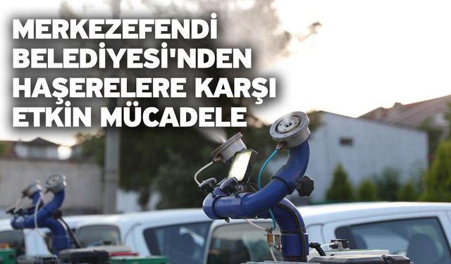 Merkezefendi Belediyesi'nden Haşerelere Karşı Etkin Mücadele