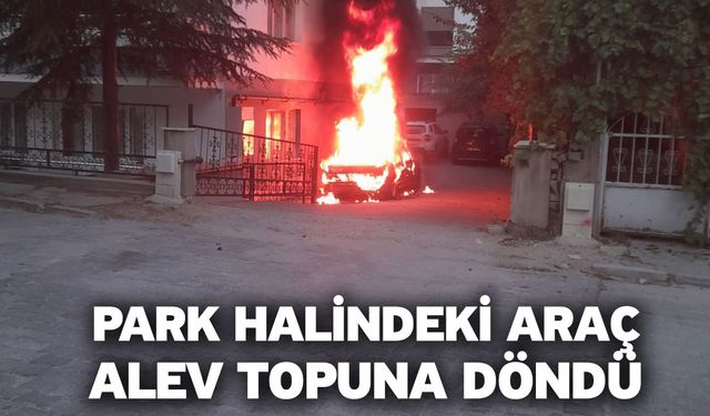 Park halindeki araç alev topuna döndü