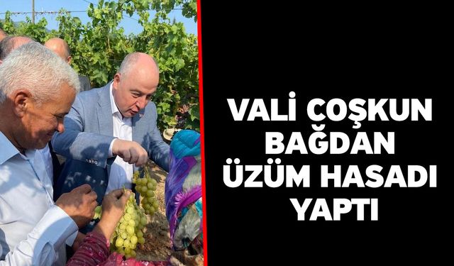 Vali Coşkun bağdan üzüm hasadı yaptı