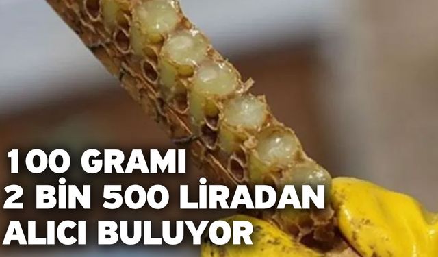 100 gramı 2 bin 500 liradan alıcı buluyor