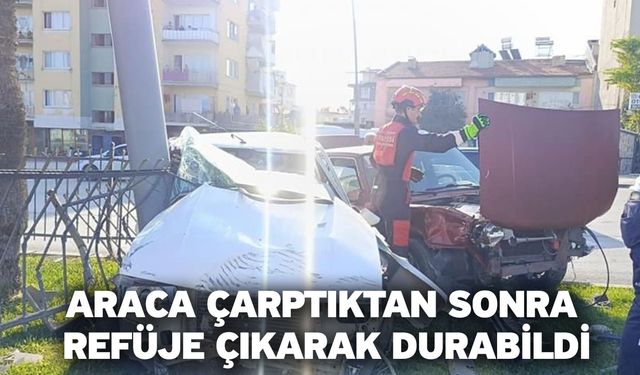 Araca çarptıktan sonra refüje çıkarak durabildi