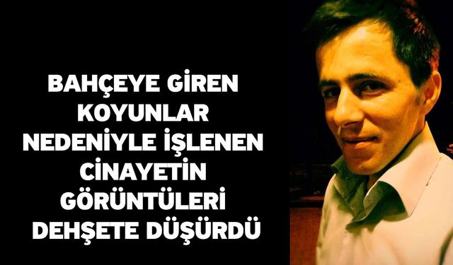 Bahçeye giren koyunlar nedeniyle işlenen cinayetin görüntüleri dehşete düşürdü