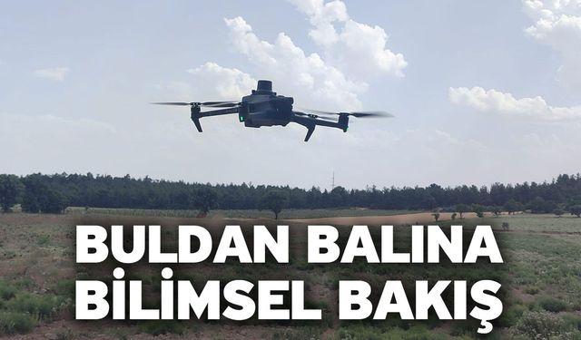 Buldan balının üretimi ve kalitesi arttırmak için bilimsel araştırmalar yapıldı