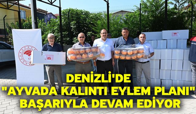 Denizli'de "Ayvada Kalıntı Eylem Planı" Başarıyla Devam Ediyor