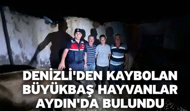 Denizli'den kaybolan büyükbaş hayvanlar Aydın'da bulundu