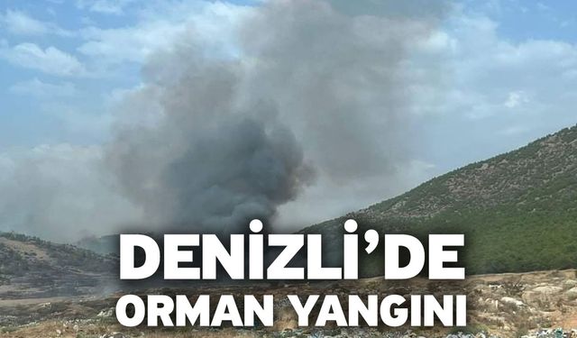 Denizli’de orman yangını