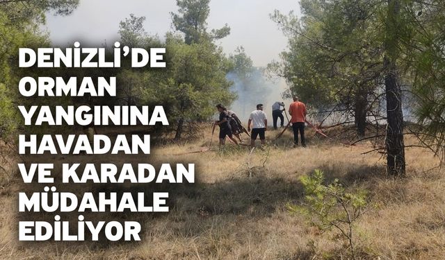 Denizli’de orman yangınına havadan ve karadan müdahale ediliyor