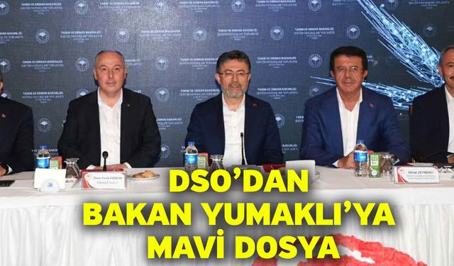 DSO’dan Bakan Yumaklı’ya Mavi Dosya