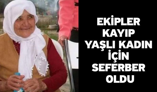 Ekipler kayıp yaşlı kadın için seferber oldu