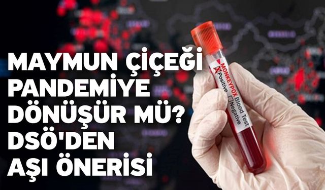 Maymun çiçeği pandemiye dönüşür mü? DSÖ'den aşı önerisi