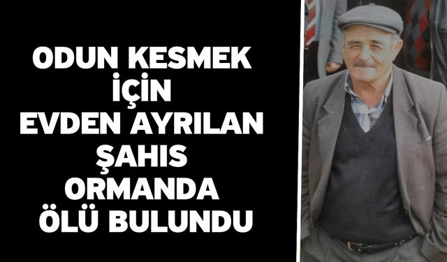 Odun kesmek için evden ayrılan şahıs ormanda ölü bulundu