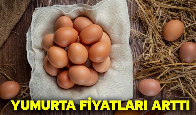 Yumurta Fiyatları Arttı