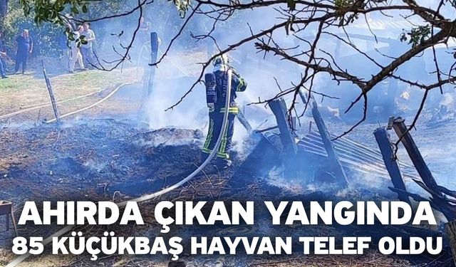 Ahırda çıkan yangında 85 küçükbaş hayvan telef oldu