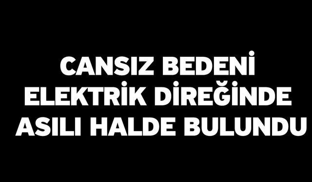 Cansız Bedeni Elektrik Direğinde Asılı Halde Bulundu