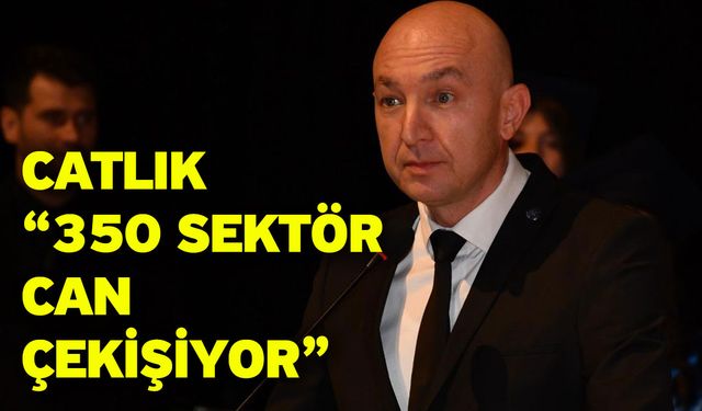 Catlık “350 sektör can çekişiyor”