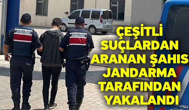 Çeşitli suçlardan aranan şahıs jandarma tarafından yakalandı