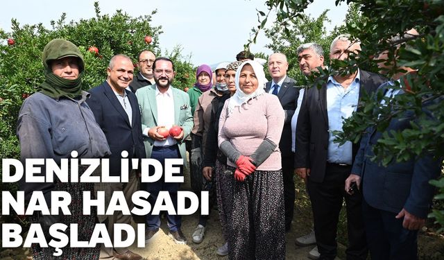 Denizli'de nar hasadı başladı