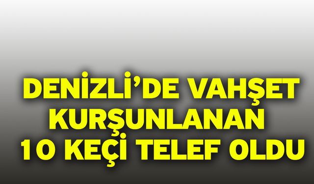 Denizli’de vahşet! Kurşunlanan 10 keçi telef oldu