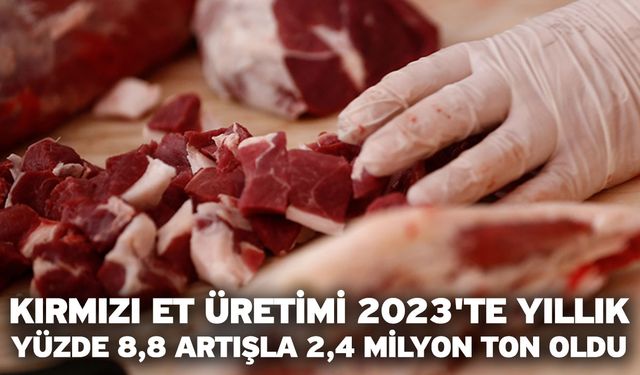 Kırmızı Et Üretimi 2023'te Yıllık Yüzde 8,8 Artışla 2,4 Milyon Ton Oldu