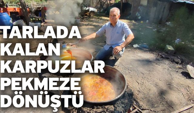 Tarlada kalan karpuzlar pekmeze dönüştü