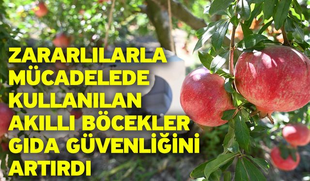 Zararlılarla mücadelede kullanılan akıllı böcekler gıda güvenliğini artırdı