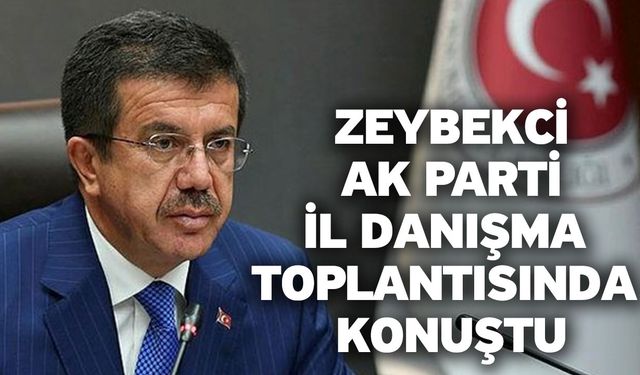 Zeybekci Ak Parti İl Danışma Toplantısında Konuştu