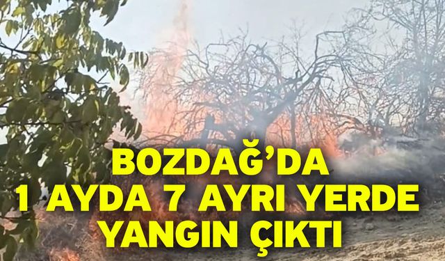 Bozdağ’da 1 ayda 7 ayrı yerde yangın çıktı