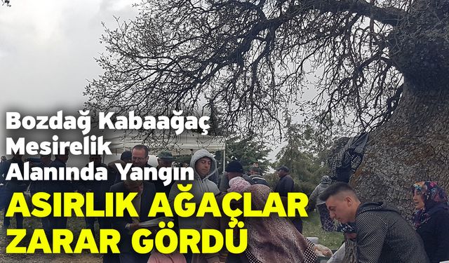 Bozdağ Kabaağaç Mesirelik Alanında Yangın! Asırlık Ağaçlar Zarar Gördü