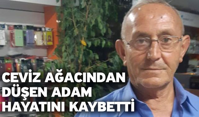 Ceviz ağacından düşen adam hayatını kaybetti