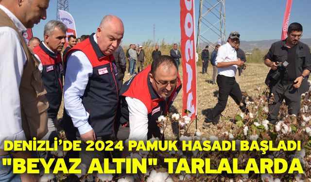 Denizli’de 2024 Pamuk Hasadı Başladı "Beyaz Altın" Tarlalarda